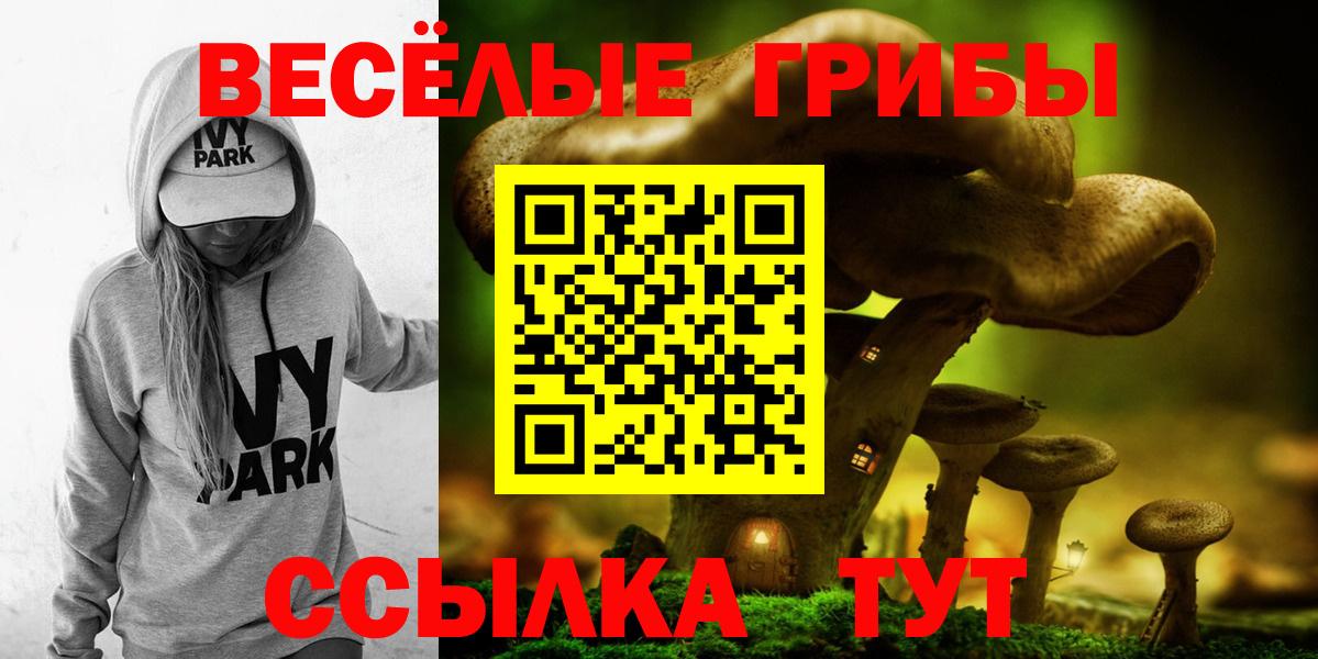 Галлюциногенные грибы мухоморы  Вход с VPN  Кимры 