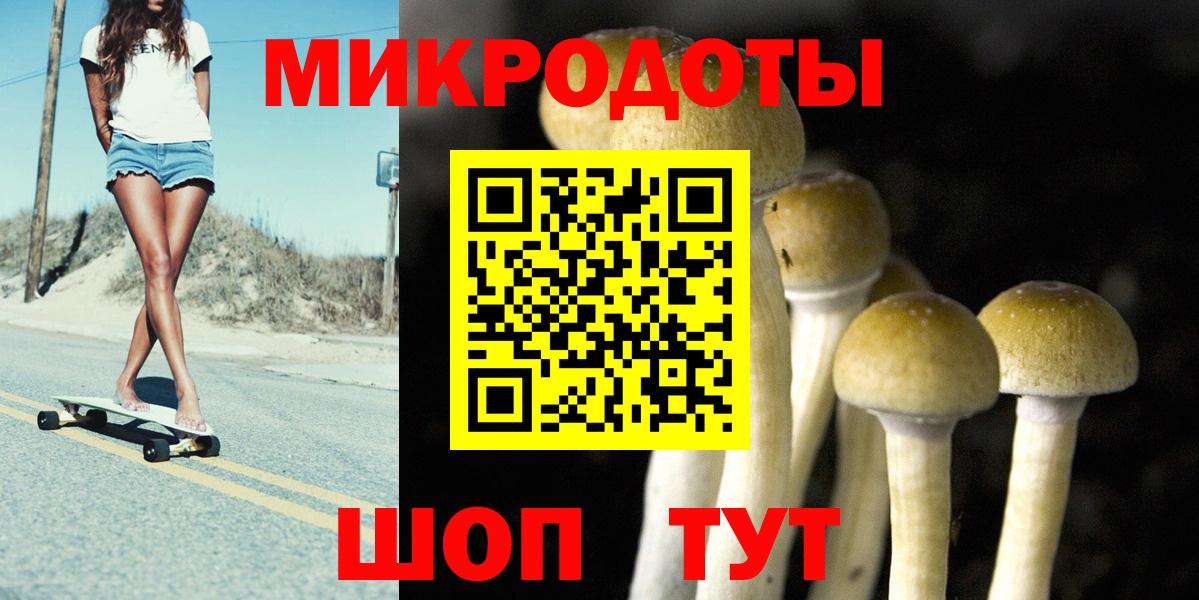 Псилоцибиновые грибы GOLDEN TEACHER Кимры